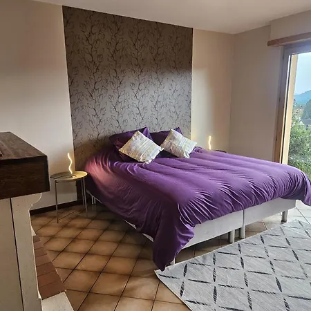 Bellevue - Chez Oma * Wingen-sur-Moder